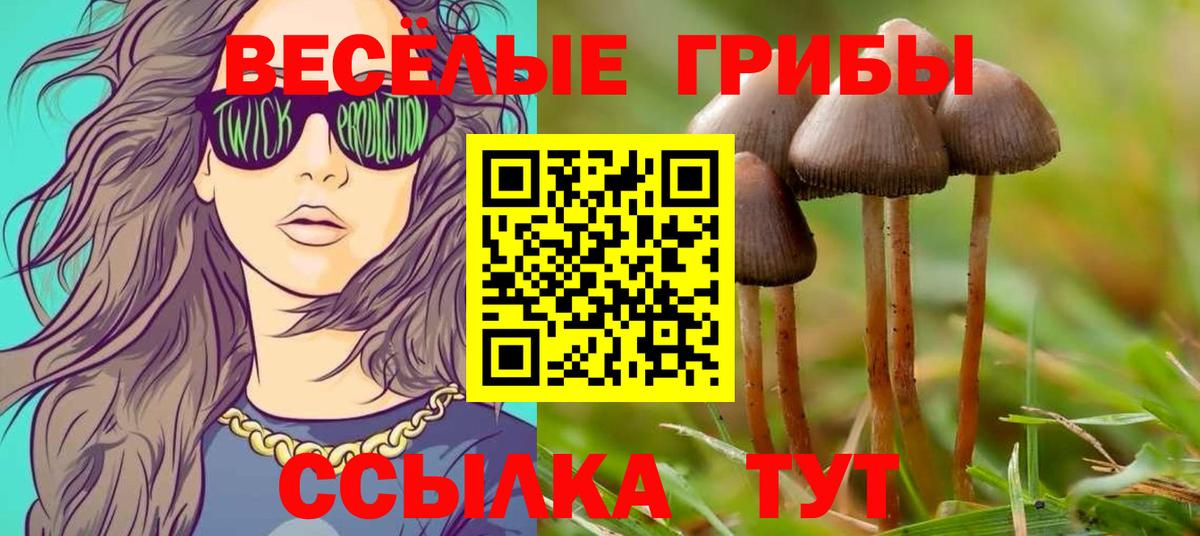 Галлюциногенные грибы Psilocybe  Вход с VPN  Тосно 